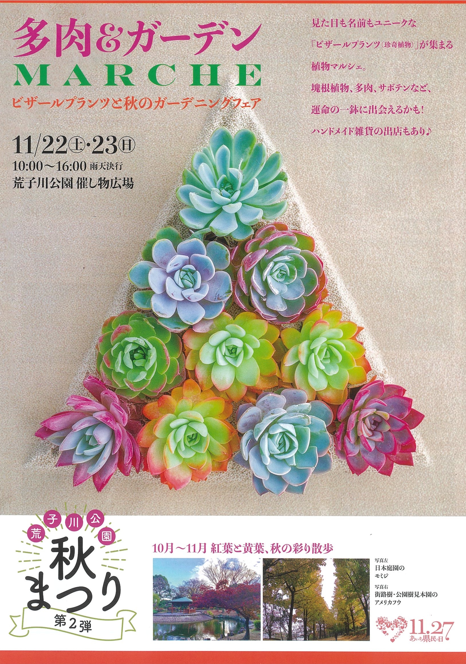 11/22・11/23　荒子川公園秋まつり 第２弾①　多肉＆ガーデンMARCHE